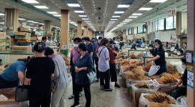 금산인삼 슈퍼위크, 수삼판매 효자 노릇 톡톡