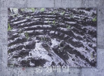 청주시 스페이스몸미술관 임동식·이만우 작가 기획전