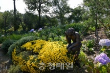 충북예술고등학교, 자연숲을 학교숲으로…교육의 장 마련