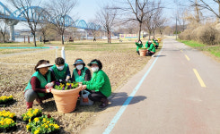 충주 곳곳, 봄꽃 심으며 아름다운 거리 조성