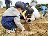 당진신촌초등학교, 환경 텃밭 가꾸기 프로그램 운영