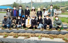 충북도, 생산적 일손 봉사 팔 걷어
