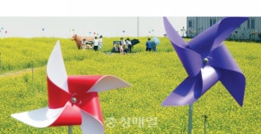 청주에서 농업을 만나다
