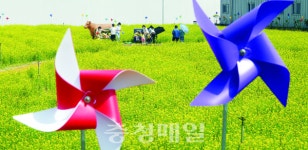 청주에서 농업을 만나다