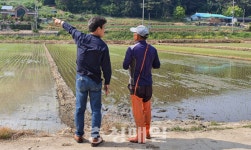 당진시 면천면, 모내기 농가 격려 방문