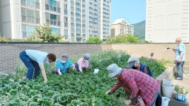 충주시 연수동, 경로당 텃밭에서 힐링! 웰빙