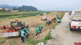 충주 대소원면새마을협의회, 꽃향기 가득한 요도천변길 조성