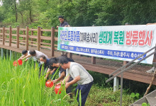 충주시, 토종어류 생태계 복원 앞장