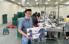 부여 굿뜨래포도 첫 공동선별 진행