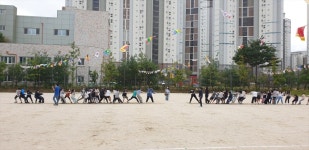 세종 여울초, 3년만에 가을 운동회 개최