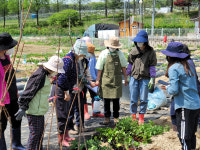 천안도시농부학교 교육생 모집