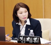 대전시 사회인 야구장 민간위탁 제동
