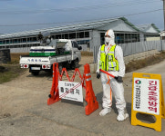 청주 한우농장 4곳 구제역 발생…4년여 만 처음