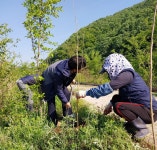 충북 충주시 앙성면 주민자치위원회, 시화십리길을 더 풍성하게