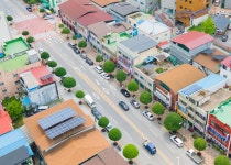 충남 공주시는 왜 특색있는 명품 가로수길을 못 만들까?