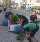 충북 충주시 용산동, 페튜니아로 아름다운 용산동 만들기