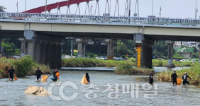 특수임무유공자회 청주시지회, 무심천 수중·수변 환경정비