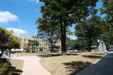 충북도청 광장, 도민 품으로