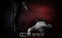 모친 살해한 자폐증 10대 아들 경찰에 붙잡혀