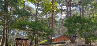 충남 부여군, 만수산자연휴양림 100대 명품숲 선정