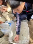 충청매일·충북교육청 생물다양성 탐사 대작전 5- 생태·역사 탐방의 중심지 미호강에서