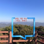 2023년 숲으로 가자