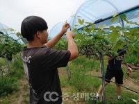 [창간특집]빠듯한 하루지만 커가는 농작물 볼때마다 뿌듯