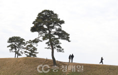 청주 정북동 토성을 찾은 가족 나들이객