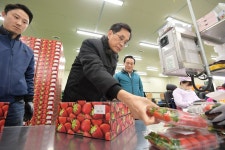 한훈 농림부 차관, 논산딸기 재배혁신 현장 점검