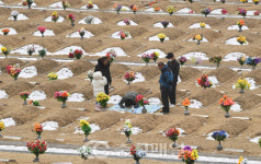 설 명절 앞두고 조상묘 찾은 성묘객