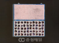 한독의약박물관, 충청북도박물관미술관협회 연합전시 길을 잇다 개최