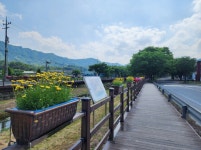 충남 금산군, 금산천·후곤천 꽃길 데크산책로 각광