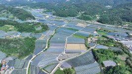 충북 영동 은빛 물결 포도하우스