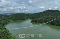 폭염 날리는 진천 초평호 미르309 출렁다리