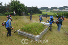 충북 청주농협 청년부 추석 벌초 대행해 드립니다