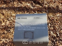 [김영진교수의 문화지학15] 오누이 장사 이야기, 청원 구녀성 축성 전설