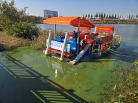 충남 천안시, 성성호수공원 1등급 만들기 위해 노력