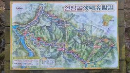 단양 선암골생태유람길 정비 필요