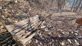 단양 선암골생태유람길 정비 필요