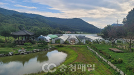 흙이 살아야 자연도, 인간도 건강