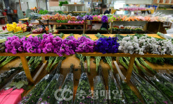 비싼 꽃값에 한산한 꽃도매시장