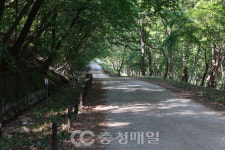 충남 계룡시, 안보생태탐방로 본격 운영 나서