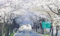 Foto hasil carian Naver 4
