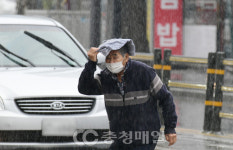 봄비 내리는 청주