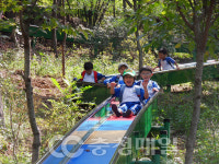 충남 청양 고운식물원 볼거리 풍성