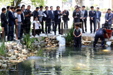 충북도청 연못정원, 자연과 쉼의 공간으로 새단장