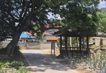 李대통령 처가 동네 충북 충주 대소강마을에 새 정자 생긴다