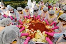 석진경영컨설팅주 | 충북적십자사, 취약계층을 위한 '사랑 더하기, 김장나누기'