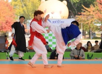 택견, 충주 넘어 세계로