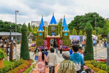 도심 속 가을정원, 유성구를 물들이다… 2025 유성국화축제 성료